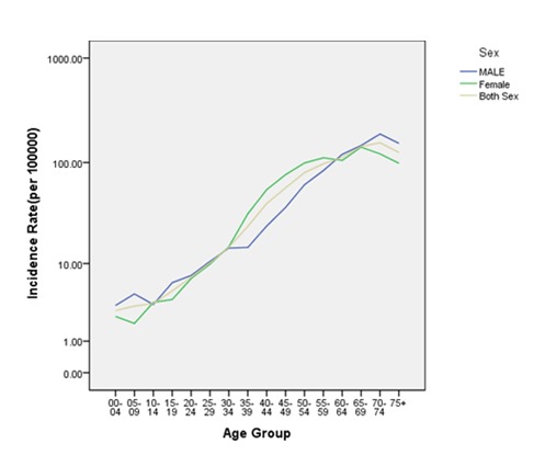 Figure 1: