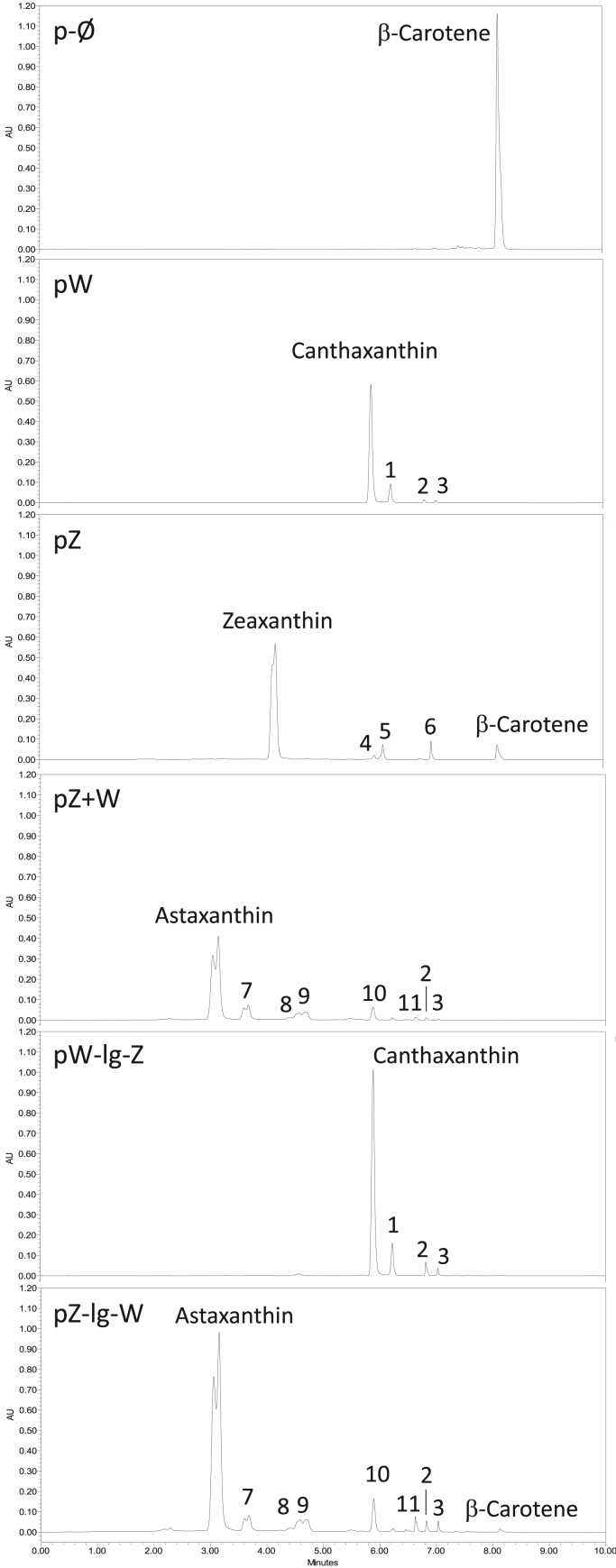 Fig. 4