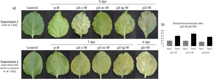 Fig. 5