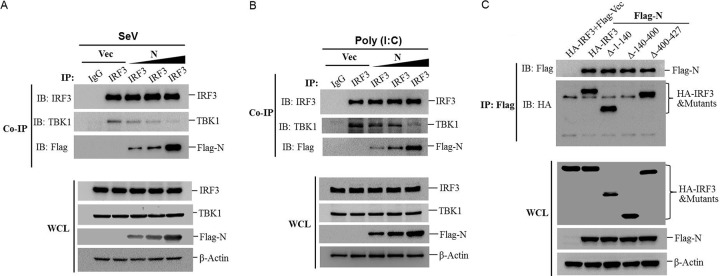 FIG 6