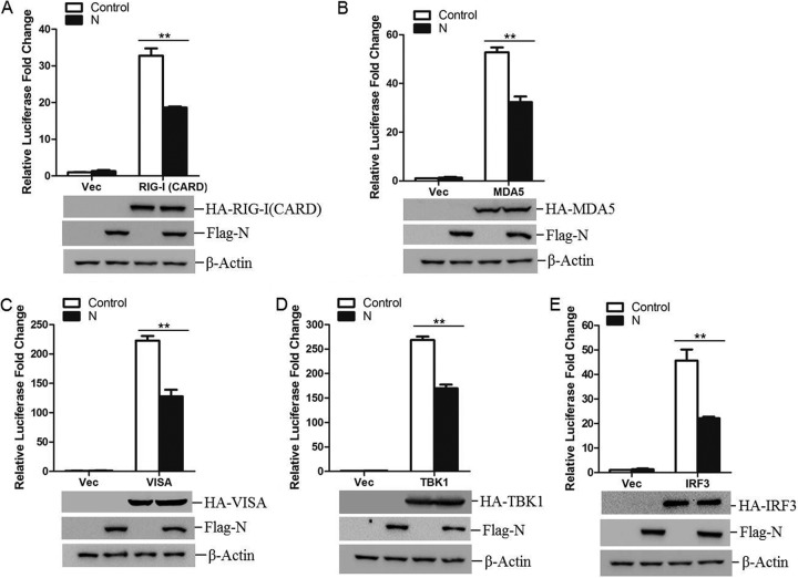 FIG 2