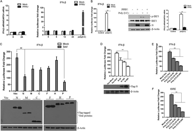 FIG 1