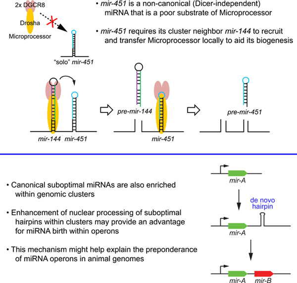 graphic file with name nihms-1584128-f0008.jpg