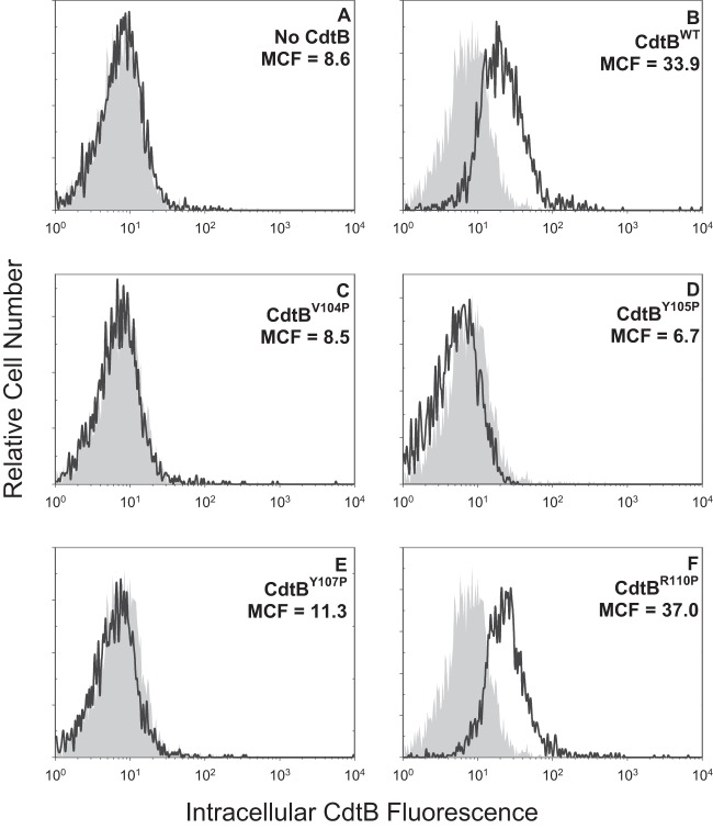 FIG 5