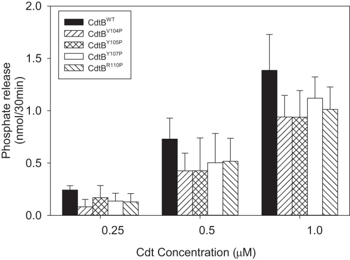 FIG 10