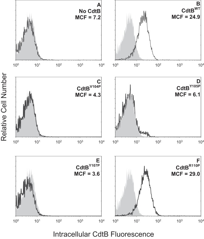 FIG 3