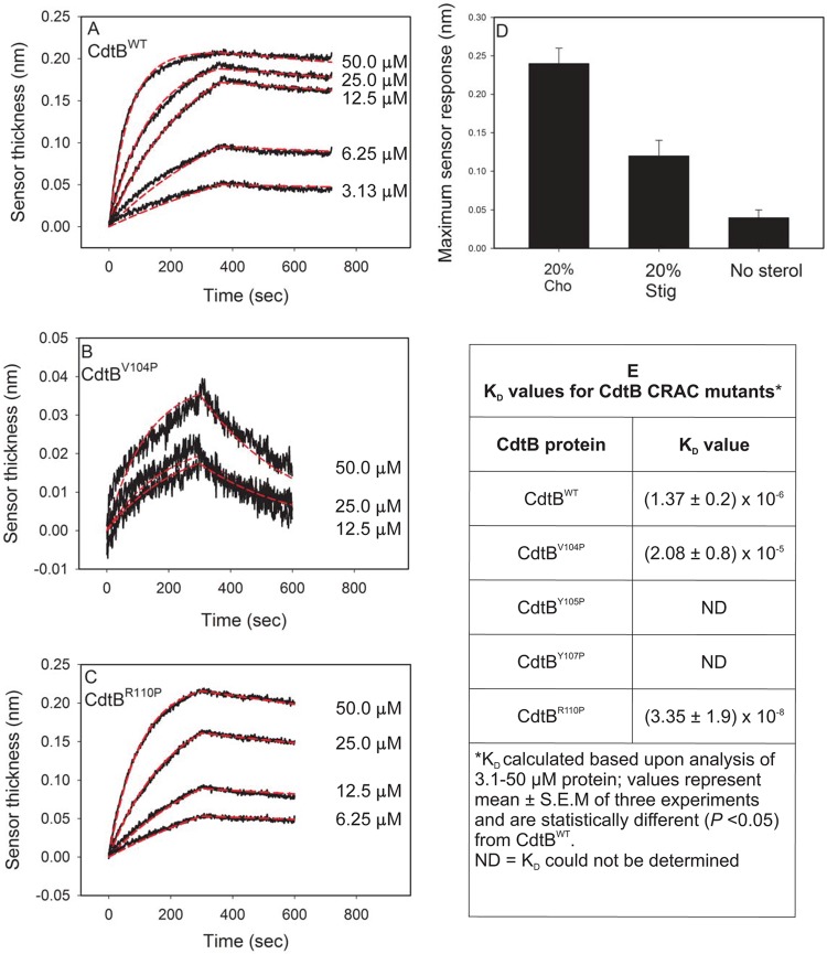 FIG 2