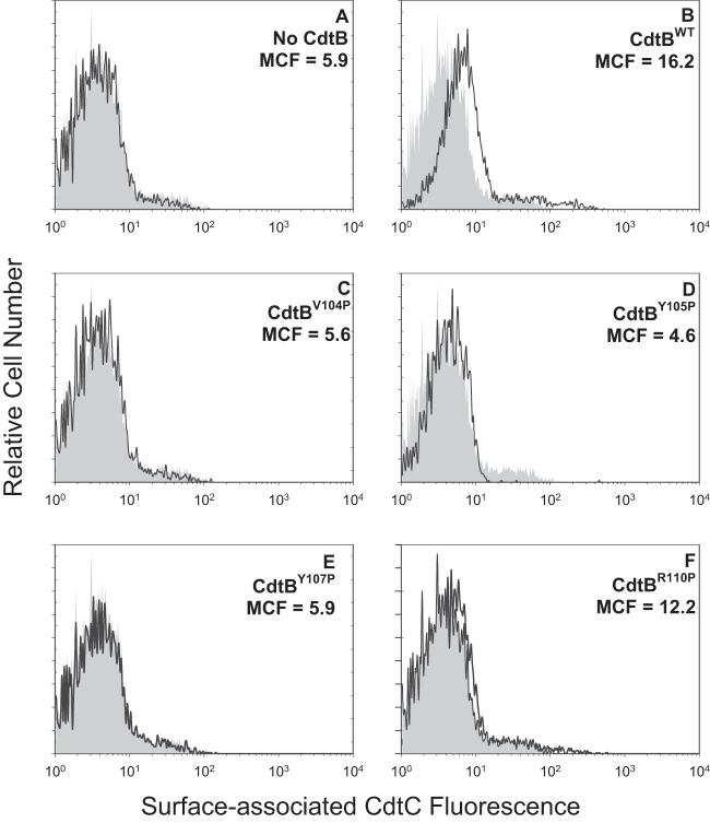 FIG 6