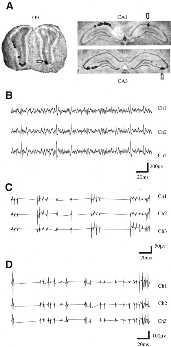 Fig. 1.