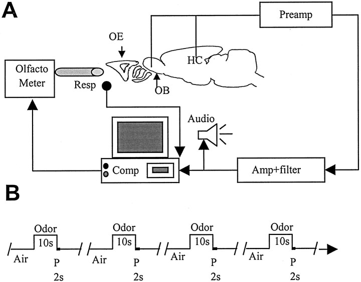 Fig. 2.