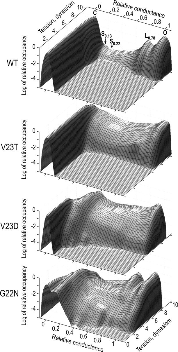 Figure 4. 