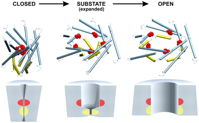 Figure 10. 