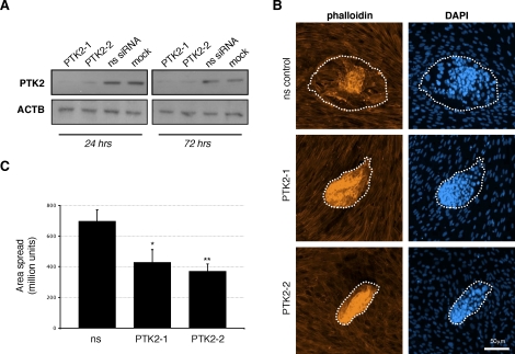 FIG. 6.