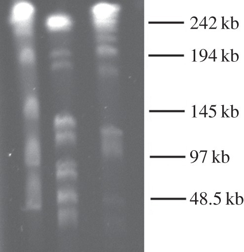 Figure 1.