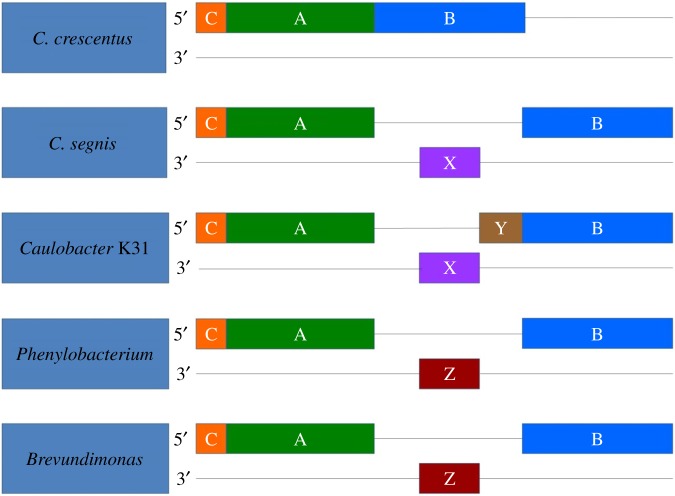 Figure 4.