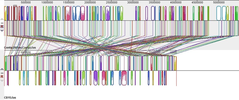 Figure 2.