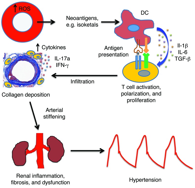 Figure 14