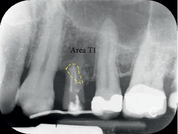 Figure 7