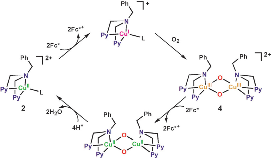 Scheme 5