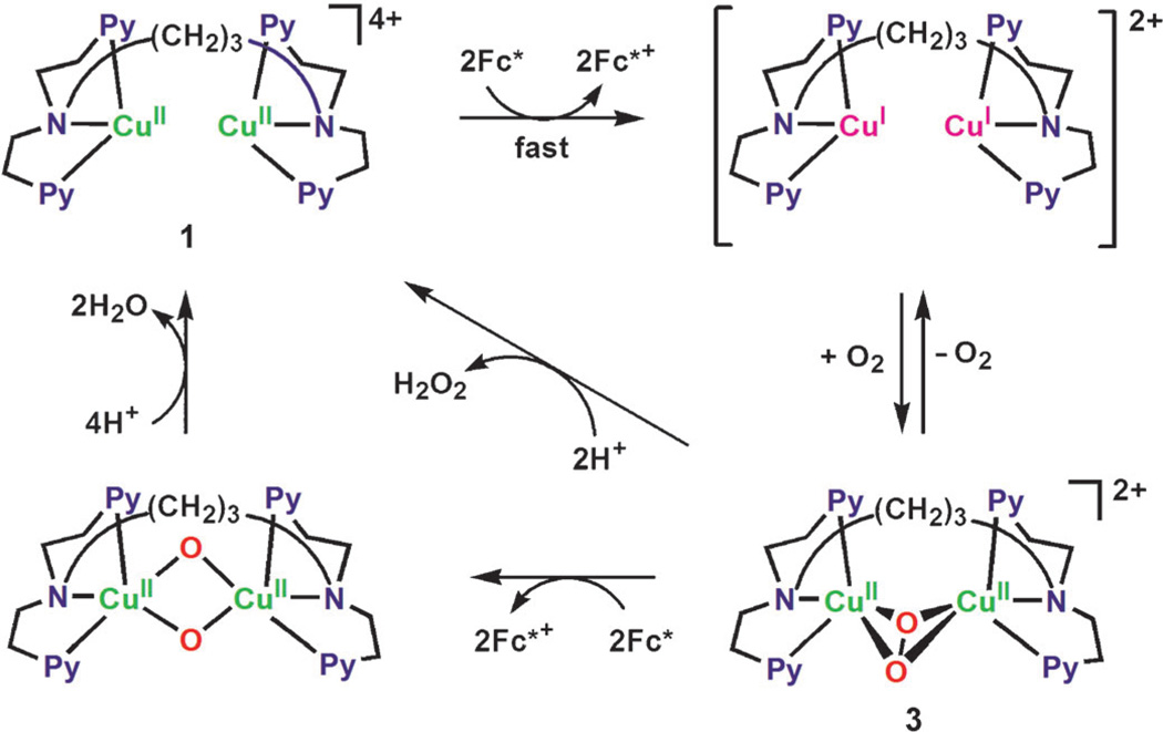 Scheme 4