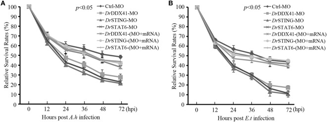 Figure 10