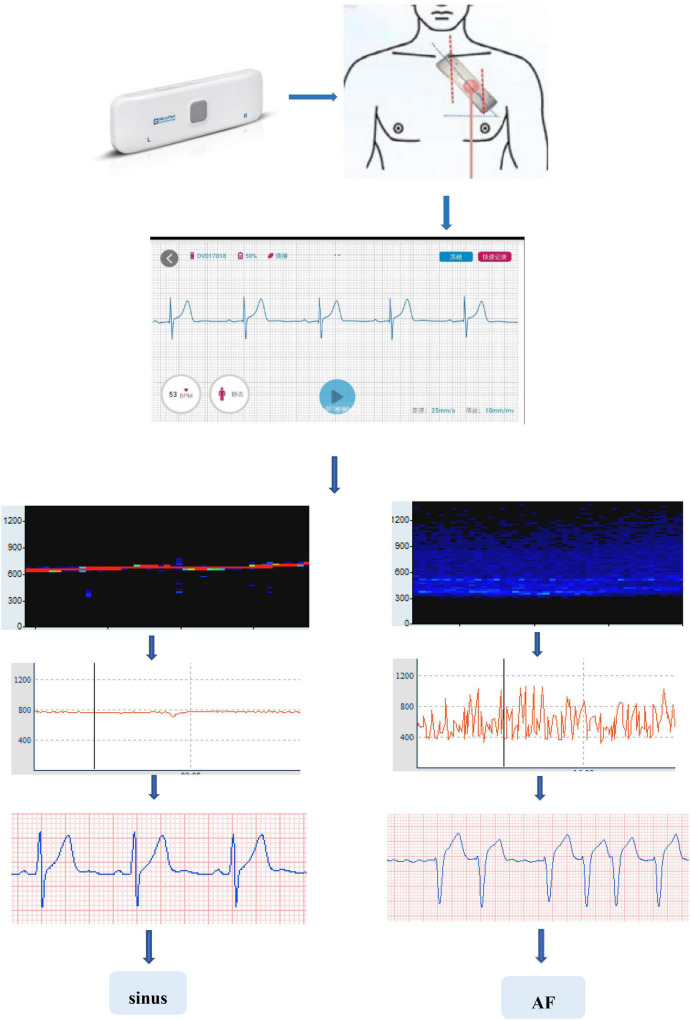 FIGURE 1