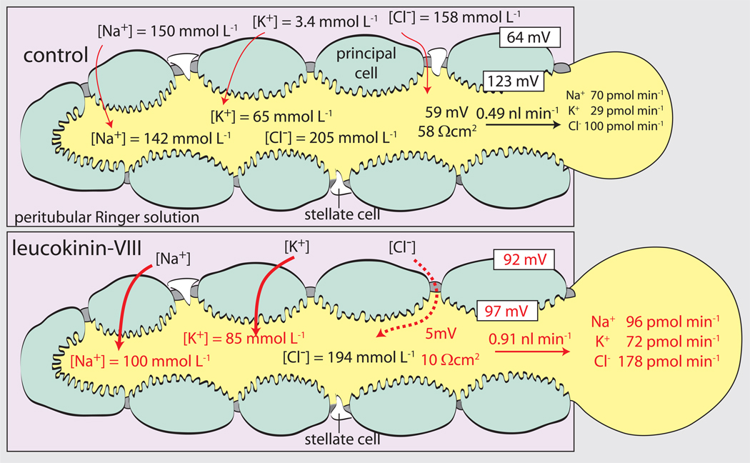 Fig. 7