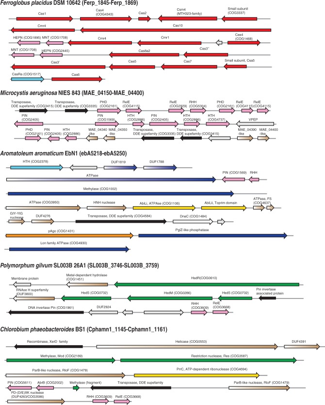 Figure 3.