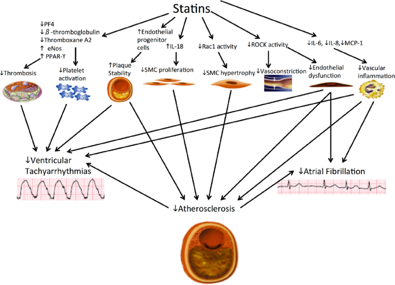 Fig. (2).