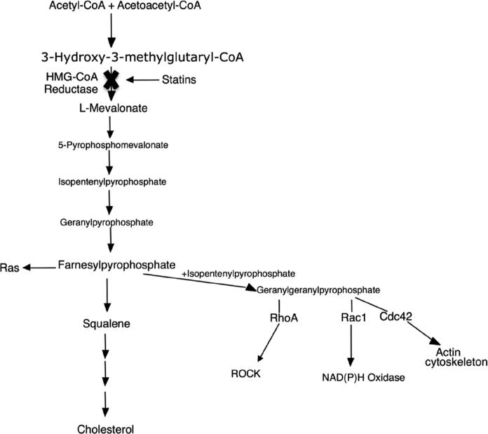 Fig. (1).