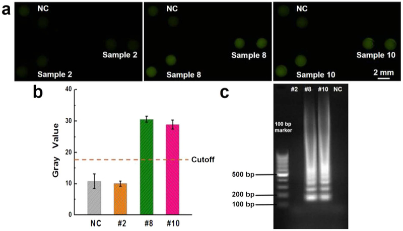 Fig. 4.