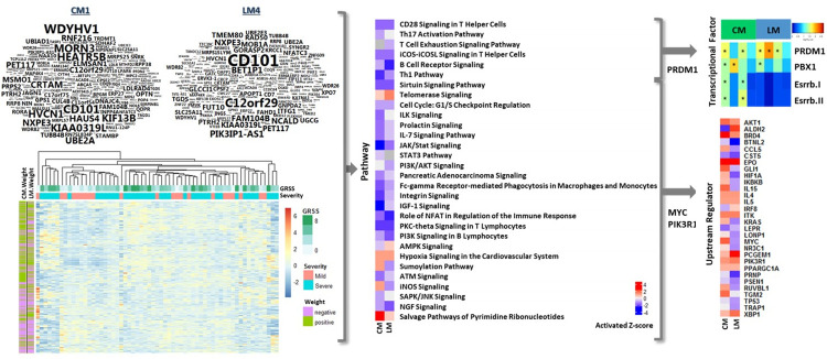 Fig 4