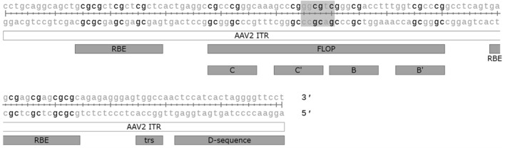 FIGURE 3