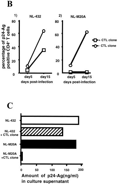 FIG. 5.