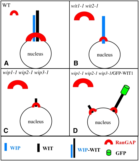 Figure 7.