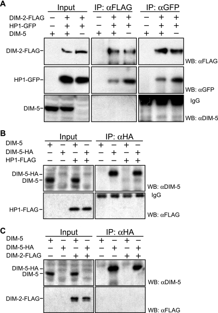 FIG. 8.