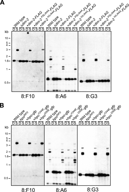 FIG. 3.