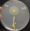 FIG 5