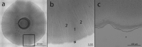 FIG 2