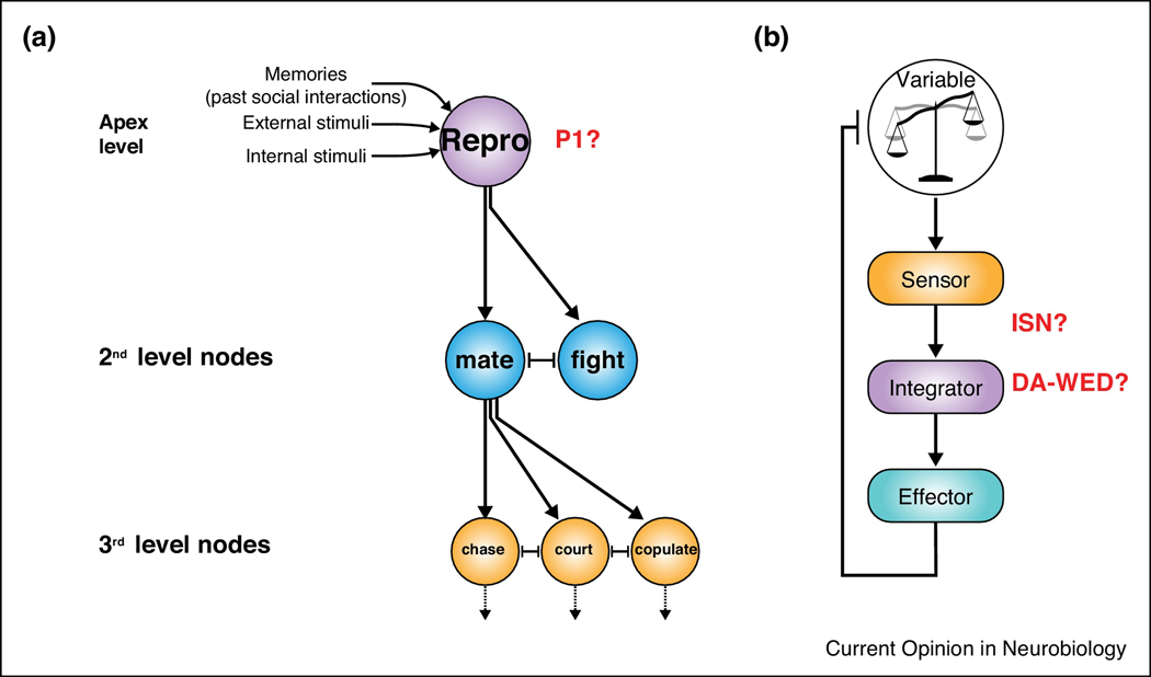 Figure 2: