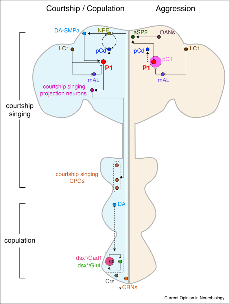 Figure 1: