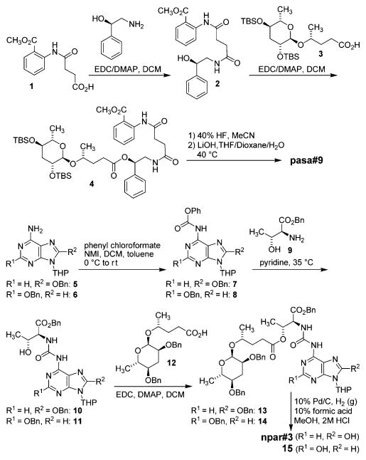 Scheme 1