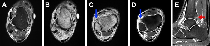 Figure 1.