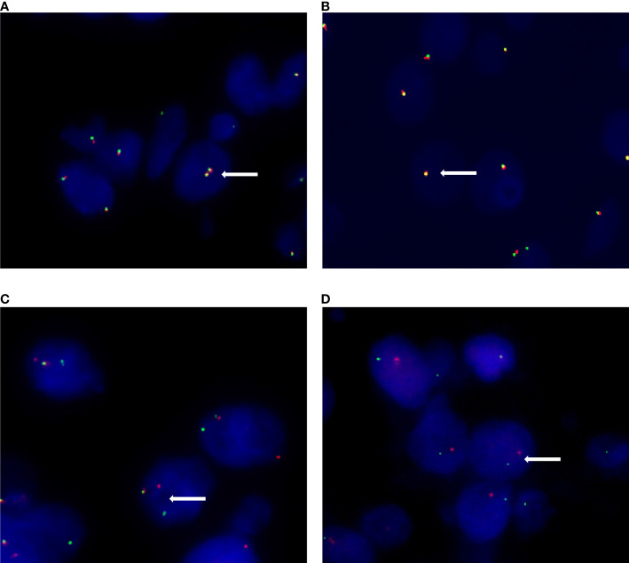 Figure 2