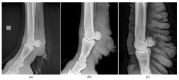 Figure 15