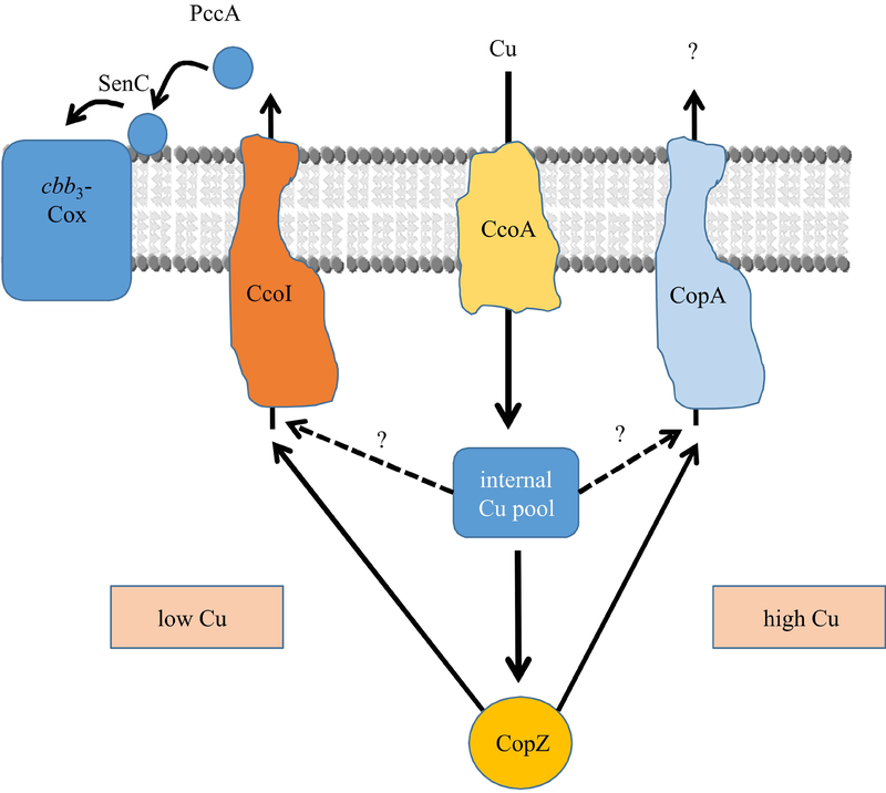 Fig. 8: