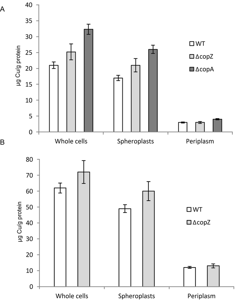 Figure 4: