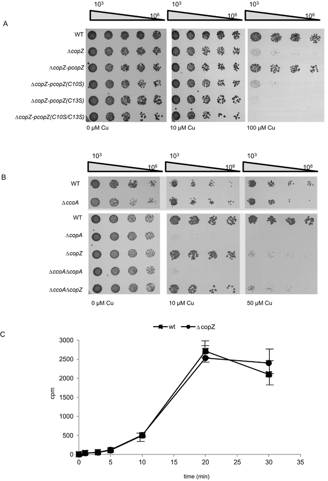 Figure 3: