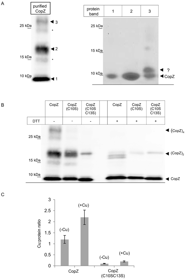 Figure 2: