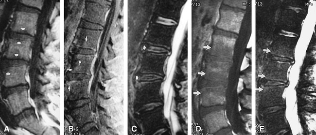 fig 1.